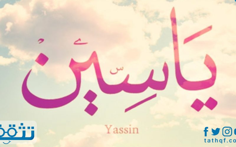 معنى اسم ياسين في القاموس والمعجم وطريقة كتابته مزخرف